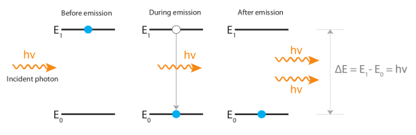 Figure 1. Diagram illustrating the process of stimulated emission from left to right. An atom in an excited state is stimulated to emit a photon by an incident photon. The stimulated emitted photon has the same phase, frequency and polarization as the incident photon. For simplification, non-radiative processes and vibrational energy states are not shown in this figure.