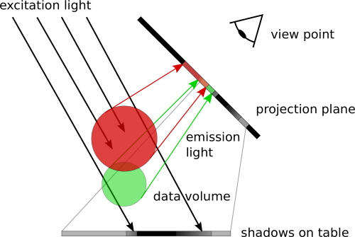 SFP レンダリングでは、蛍光物質による光の励起とそれに続く蛍光がシミュレートされます。 光ビームの後続の各ボクセルは、その前のボクセルからのシャドウイングの影響を受けます。 蛍光に対する対象物の透明度は、観察者が対象物の内部をどの程度覗くことができるかをコントロールします。