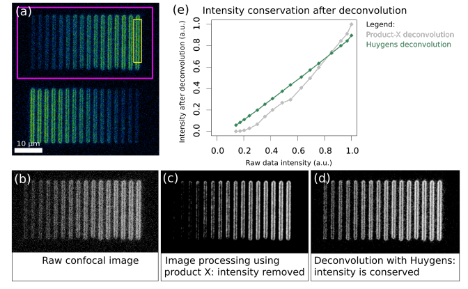 Intensity conservation measurements after deconvolution. All images are SUM projections across the z-axis to reflect the total intensity across the full volume. Argolight HM 2x16 linear intensity pattern, (a) confocal raw data shown in false colors. (b) greyscale view confocal raw data, (c) deconvolved result with product-X, (d) Huygens deconvolved result, (e) pattern intensity (sum) for both deconvolution results. Horizontal: normalized sums of raw data intensities. Vertical: sums of deconvolved intensities. Huygens results (green) untreated, the result for product-X (gray) was renormalized to unity (see text). Huygens (green) shows a direct linear relation with the raw data pattern intensity, while product-X (gray) does not.