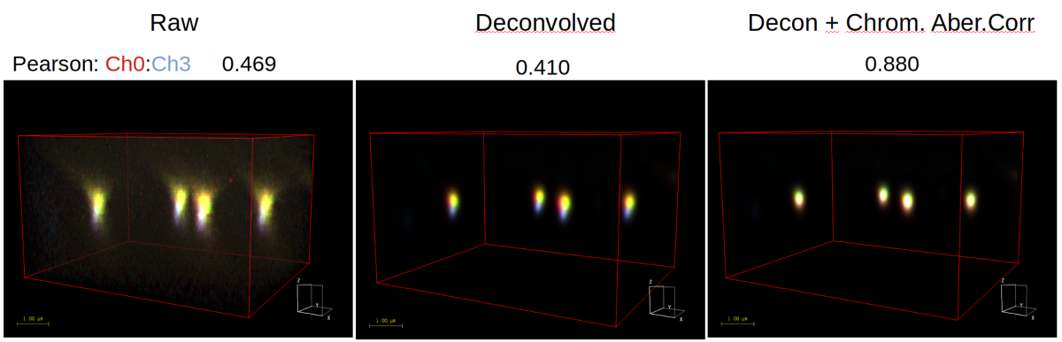 上の説明： TetraSpeck ビーズ（Thermo Fisher）の軸上ビューのこれらの MIP 投影は、コロカリゼーション解析（ピアソン係数）に対する画像復元の効果を示しています。 これらの 100 nm ビーズ（ドリフトなし、ナイキストサンプリングで）の高品質コンフォーカル画像は、デコンボリューションされ、Huygens を使用して色収差が補正されました。 ピアソンコロカリゼーション係数は、青色（365/430 nm）と赤色（660/680 nm）チャネルの間で計算されました。 これらのビーズは、サブ解像度であるため、4 つのチャネルすべての間で「1」に近いピアソン値が予想されます。 ビーズの画像は、ライカ SP8 コンフォーカルで取得し、オランダ、Cellular Imaging、Core Facility Department of Medical Biology、Amsterdam University Medical Center の Ron Hoebe 博士からご提供いただきました。
